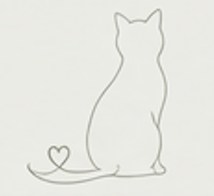 chat avec coeur sur la queue