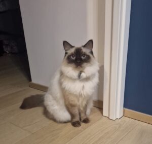 naika